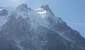 Trail Walking Chamonix-Mont-Blanc - La Gare des Glaciers - Plan de l'Aiguille - Photo 8