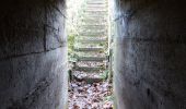 Tour Zu Fuß Unknown - Vandreruter i Arrild Ferieby, blå - Photo 10