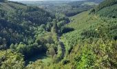 Tocht Stappen Sainte-Ode - Marche ADEPS Lavacherie - Photo 9