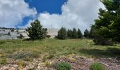 Tour Wandern Bédoin - du chalet renard au sommet du ventoux - Photo 5