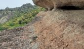 Trail Walking Roquebrune-sur-Argens - les 3 croix - Photo 1