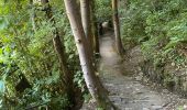 Trail Walking Mazamet - Mazamet passerelle  - Photo 12