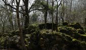 Excursión Senderismo Le Bar-sur-Loup - Barres de Cavillore - Photo 6