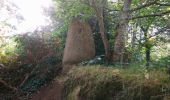 Randonnée Marche Trébeurden - Trébeurden - Kerhellen GR34 Menhirs - 5.8km 105m 1h25 (40mn) - 2023 09 05 - Photo 2