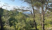 Tour Wandern Saint-Rémy-de-Provence - Reny la chaume  - Photo 1