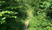 Trail Walking Bouillon - Poupehan Bouillon A/R 27 km - Photo 14