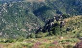 Tour Wandern Pourcharesses - au coeur des gorges du chassezac au départ de Villefort  - Photo 10