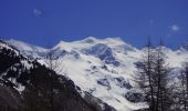 Tocht Te voet Pontresina - Morteratsch-chamanna da Boval - Photo 8