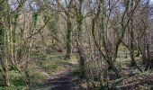 Percorso A piedi Somerset West and Taunton - Herepath Trail - Blagdon Hill - Photo 1