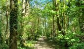 Trail Walking Thorigny-sur-Marne - Carnetin - Aqueduc de la Dhuys - Forêt des Vallieres - Photo 3