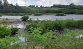 Tour Wandern La Trinité - École de pêche - Bourg Tartane  - Photo 1