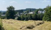 Tour Wandern Bièvre - Oizy 21 km - Photo 18