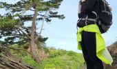 Trail Walking Trégastel - 2024 RA J2 Bretagne costamoricaine - Photo 16