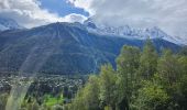 Tour Wandern Chamonix-Mont-Blanc - J13 - R11 - Chalet La Floria depuis Les Praz de Chamonix - Photo 10