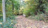 Tour Wandern Neupré - Plainevaux promenade des géants  - Photo 10