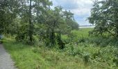 Tocht Lopen Geestland - rondje bos een meer - Photo 3