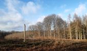 Excursión Senderismo Esneux - tilff . brialmont . hayen . dur les hus . chapelle des chaweresses. tilff   - Photo 9