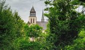 Tour Wandern Fontevraud-l'Abbaye - Fontevraud - Photo 9