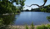 Trail Walking Saissac - le lampy - Photo 7