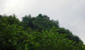 Tocht Te voet Lozio - Lozio (Sommaprada) - Rifugio Gualtiero Laeng - Photo 5