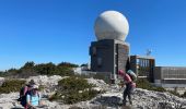 Excursión Senderismo Opoul-Périllos - Opium pétillons - Photo 9