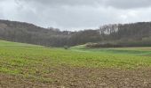 Tour Wandern Heuvelland - Dranouter 12,3 km - Photo 12