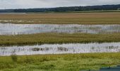 Randonnée Marche Tarquimpol - LINDRE BASSE - AUTOUR DES ETANGS DE DIEUZE - Photo 7