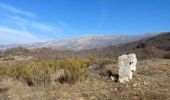 Trail Walking Courmes - Courmes  - Photo 4