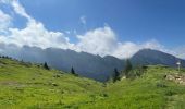 Tocht Stappen Samoëns - La tête de Bostan - Photo 4