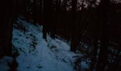 Trail Snowshoes Chaumont - rando raquette saint roch - Photo 2