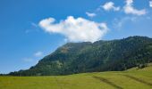 Tocht Te voet Küssnacht (SZ) - Seebodenalp - Altruodisegg - Holderen - Seebodenalp - Photo 3