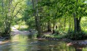 Trail Walking Manhay - Moulin de Lafosse - Photo 8