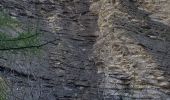 Trail Walking Beauvezer - villars heyssier gorges Saint Pierre 19kms 850m  - Photo 5