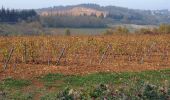 Trail Walking Saint-Jean-des-Vignes - Saint-Jean-des-Vignes - De Saint-Jean à Pierre Folle - Photo 5