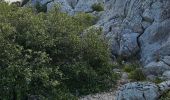 Randonnée Marche La Farlède - De La farlède vers le sommet du Mont Coudon, puis retour par le petit Coudon - Photo 3