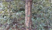 Trail Walking Cendras - montcalm - Photo 2