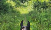 Trail Horseback riding Vigy - 2024-07-18_100557.gpx - Photo 4