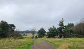 Tour Wandern Le Bouchet-Saint-Nicolas - STEVENSON Le Boucher St Nicolas à Pradelles - Photo 1