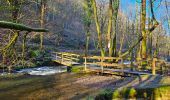 Randonnée Marche Gedinne - Balade à Patignies - Gedinne - Photo 18