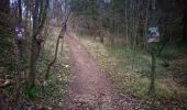 Trail Walking Saint-Vincent-la-Commanderie - bois des masques/ St Vincent la Commanderie - Photo 10