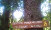 Trail Walking Pontarlier - PONTARLIER JOUR 1 - Photo 11