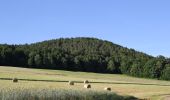 Randonnée A pied Kleinkahl - Schwarzer Fuchs, Rundwanderweg Kleinkahl - Photo 6