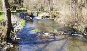 Randonnée Marche Chimay - Promenade de l’eau blanche  - Photo 7