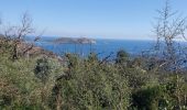 Tour Wandern Ramatuelle - Cap Taillat - Photo 2