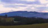 Tour Zu Fuß Goldkronach - Goldkronach Rundwanderweg Nr. 5 - Photo 8