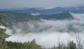 Tocht Stappen Seyne - SEYNES LES ALPES Bas et haut Chardavon  , balade de la Rochette , ravin des Ganiayes , les Côtes n - Photo 3