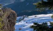 Excursión Esquí de fondo Borée - 2022 01 RANDONNÉE EN MÉZENC : La crois de Boutiére  - sommet le Gerbier de Jonc - La Croix de Boutiére. - Photo 8