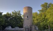 Tour Zu Fuß Bad Soden-Salmünster - Stolzenberger Ritterblick ( Spessartfährten ) - Photo 3