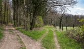 Trail On foot Lügde - Wanderweg Dreieck Nach Elbrinxen - Photo 7