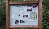 Trail Walking Servance-Miellin - Servante Saut de l'oignon - Photo 1